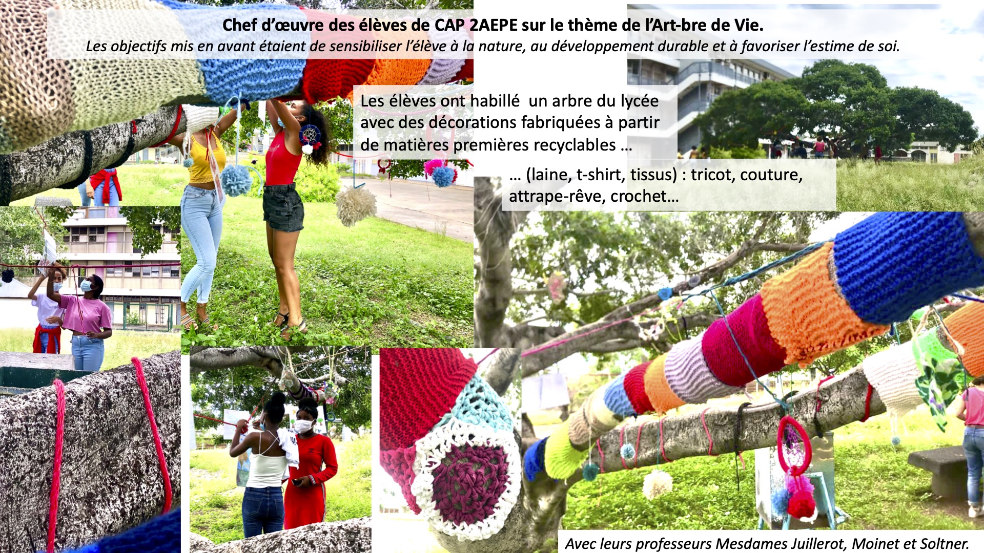 2 AEPE : Leur chef d’œuvre sur le thème de l’Art-bre de Vie | Lycée